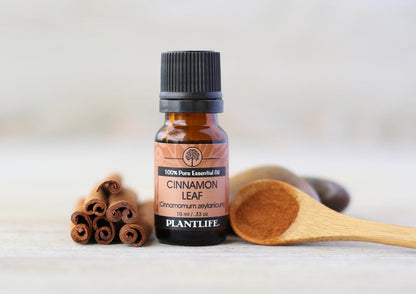 Cinnamon Leaf Essential Oil