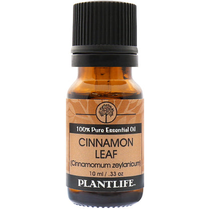 Cinnamon Leaf Essential Oil