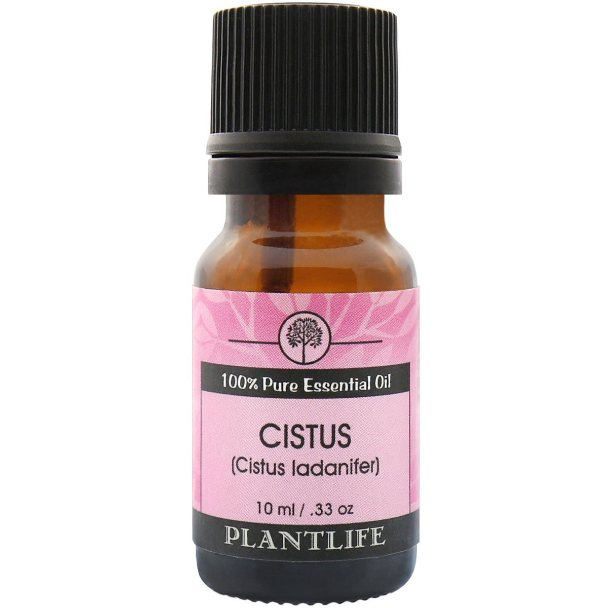 Cistus Essential Oil