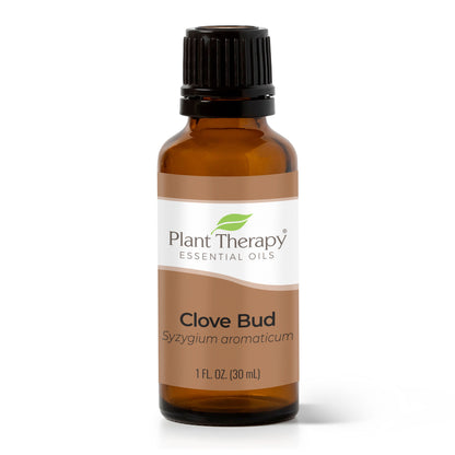 Clove Bud Essential Oil