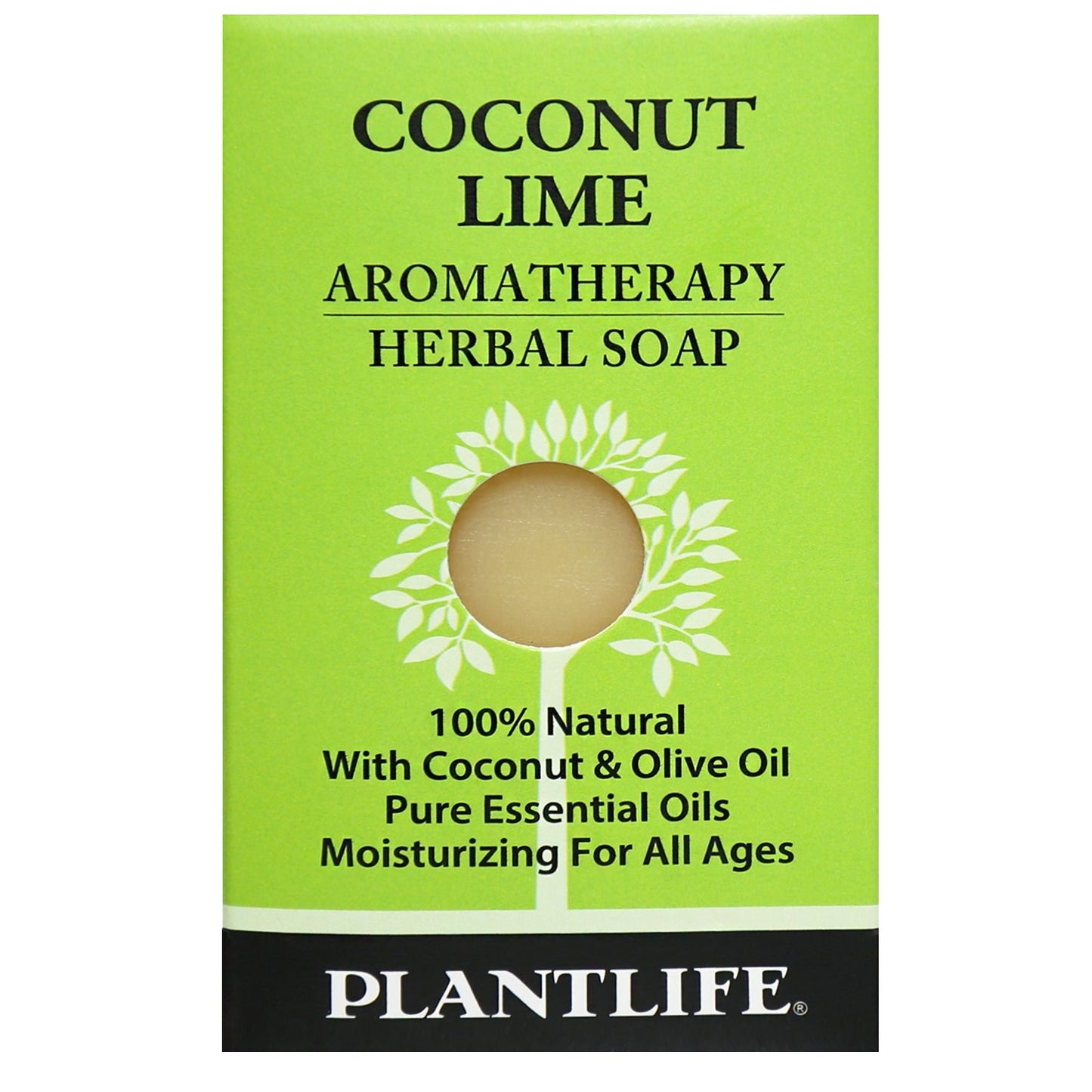 Coconut Lime Travel Size Bar Soap