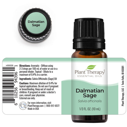 Dalmatian Sage Essential Oil