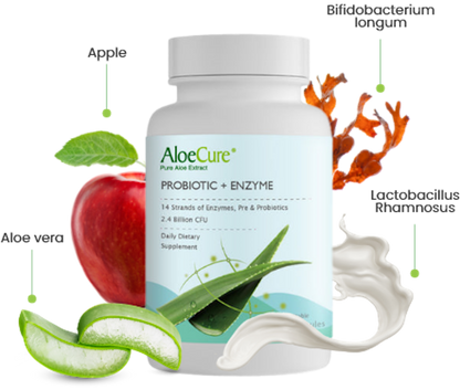 Pre+Probiotic & Digestive Enzyme Blend