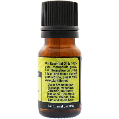 Dill Essential Oil