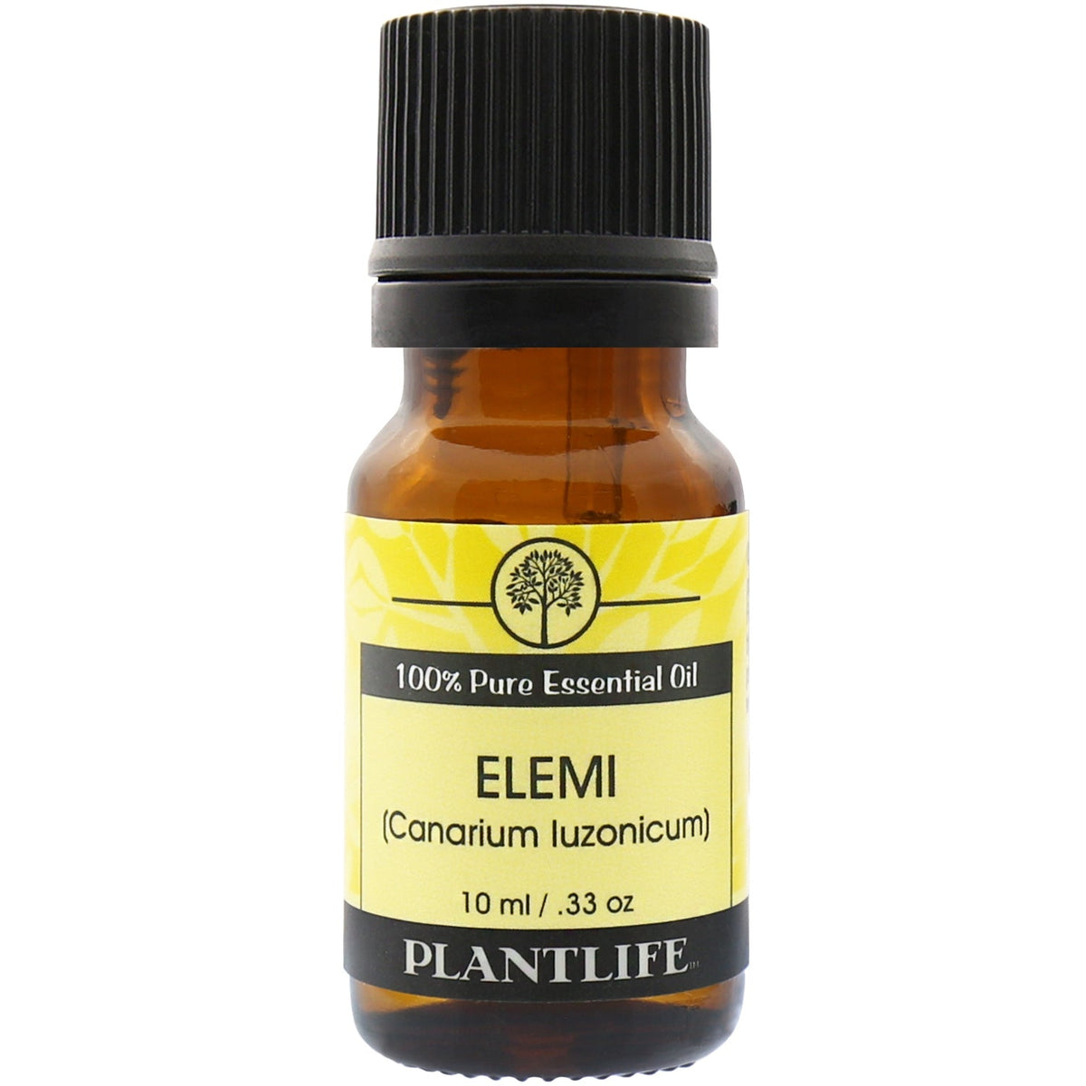 Elemi Essential Oil