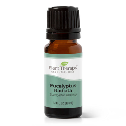 Eucalyptus Radiata Essential Oil