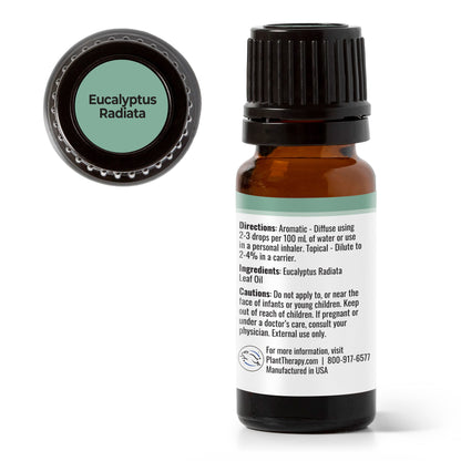 Eucalyptus Radiata Essential Oil