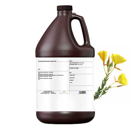 Evening Primrose Carrier Oil Bulk