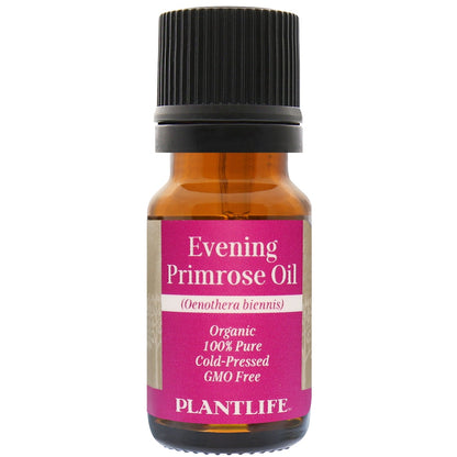 Evening Primrose