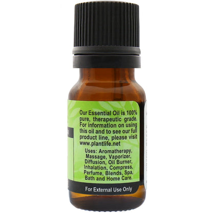 Fennel Sweet Essential Oil