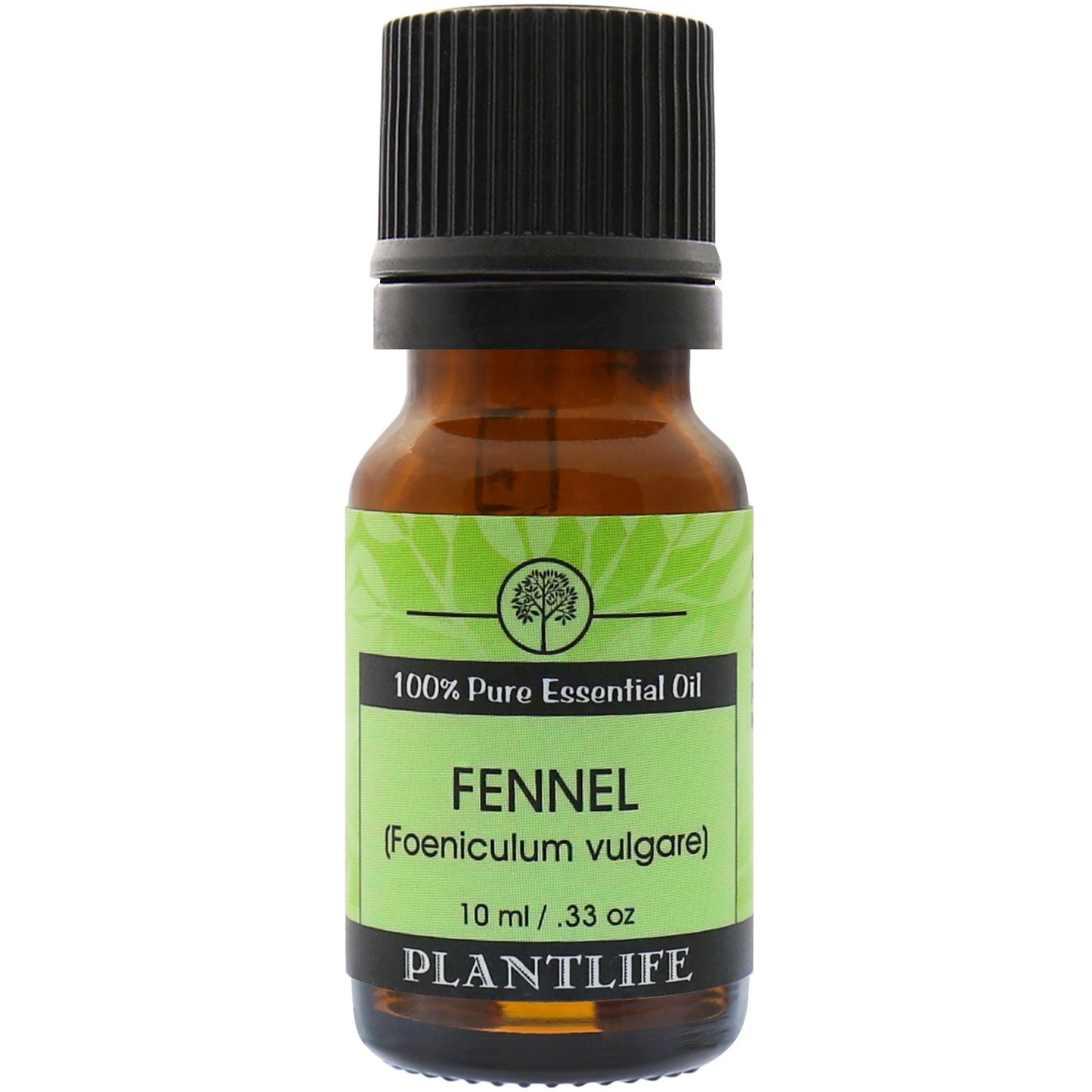 Fennel Sweet Essential Oil