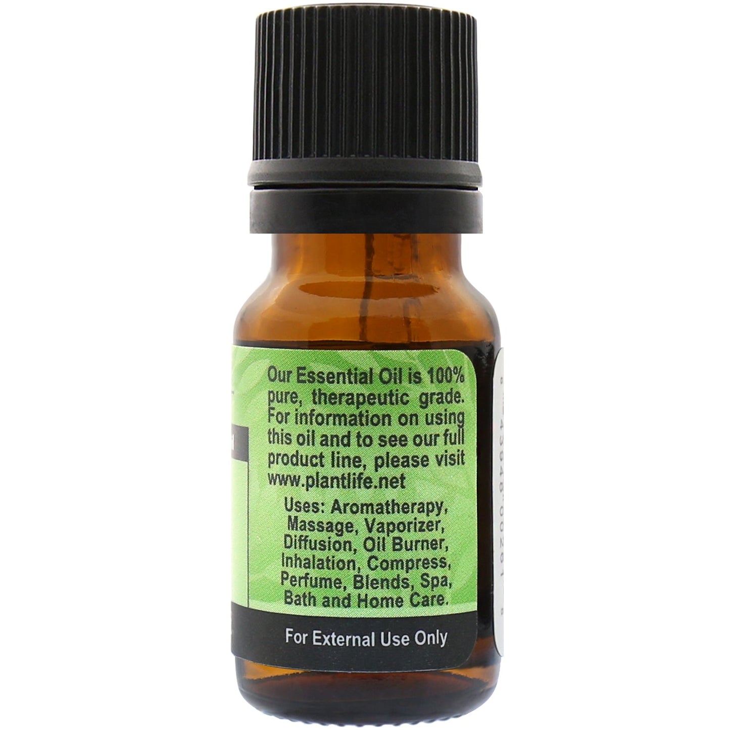 Fir Needle Essential Oil