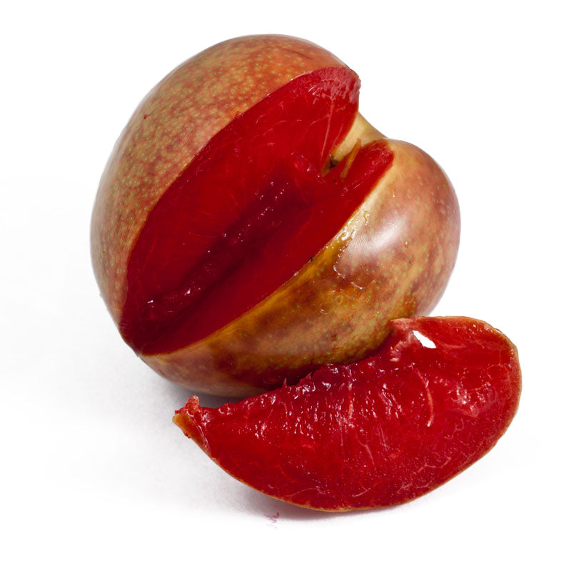 Flavor Supreme Pluot Tree