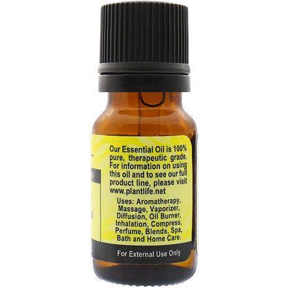 Galbanum Essential Oil