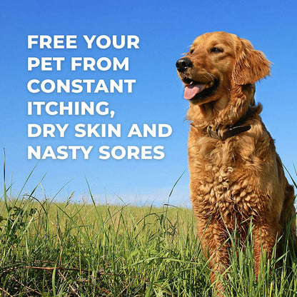 Healthy Skin & Coat for Dogs by BestLife4Pets