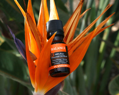 Balance Essential Oil Blend