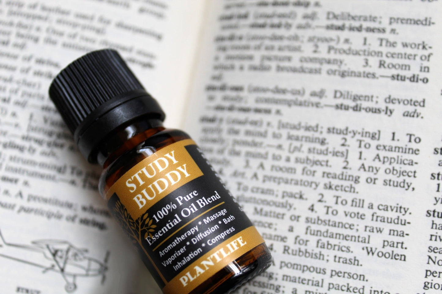 Study Buddy Essential Oil Blend