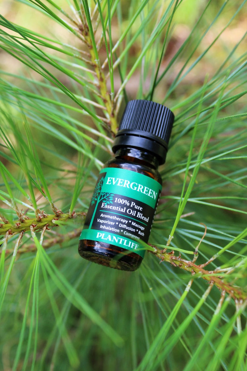 Evergreen Essential Oil Blend