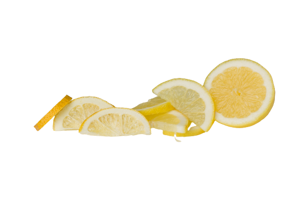 Freeze Dried Lemon Slices with Peel by The Rotten Fruit Box