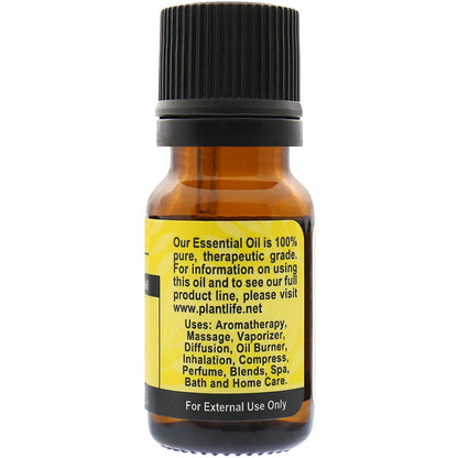 Litsea Essential Oil