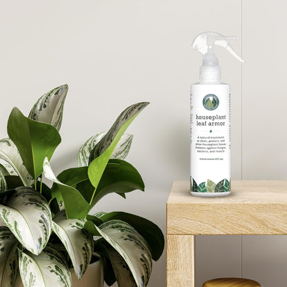 Leaf Armor by Houseplant Resource Center | Natural Indoor Plant Leaf Shine Spray for Fiddle Leaf Fig, Ficus Audrey, Monstera and other houseplants (8 Fluid Ounces) by Houseplant Resource Center