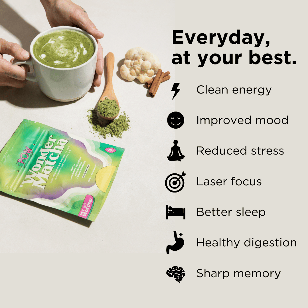 The Matcha Protein+ Pack (Save 15%)