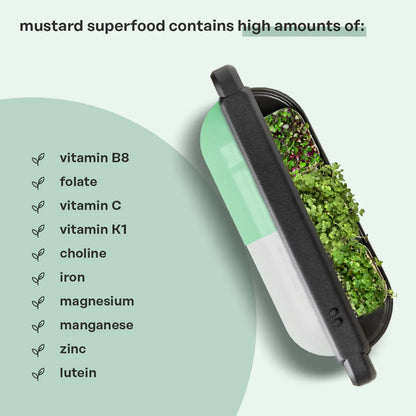 Mustard Superfood (Zinc Booster)