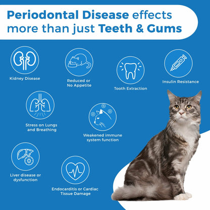 Cat Dental Care and Bad Breath Remedy - Natural Solution for Better Feline Oral Health by BestLife4Pets