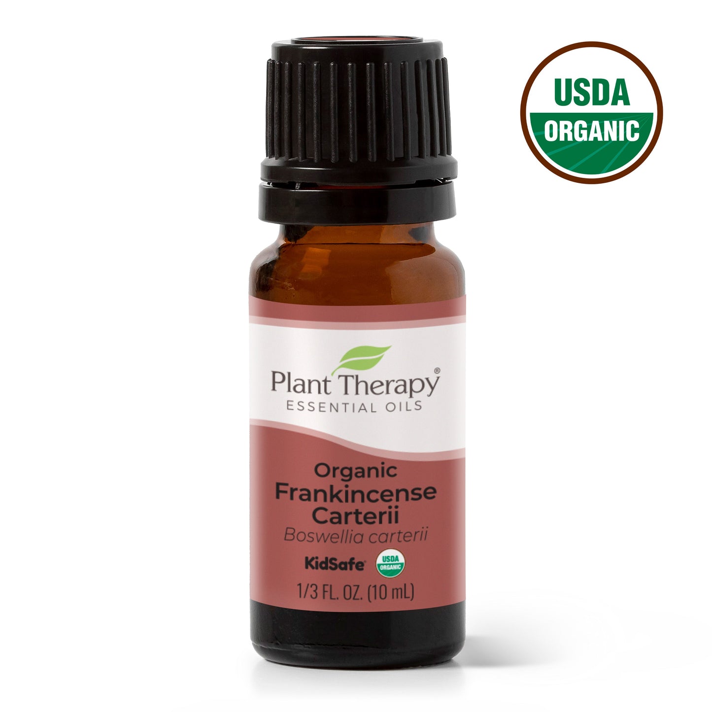 Organic Frankincense Carterii Essential Oil