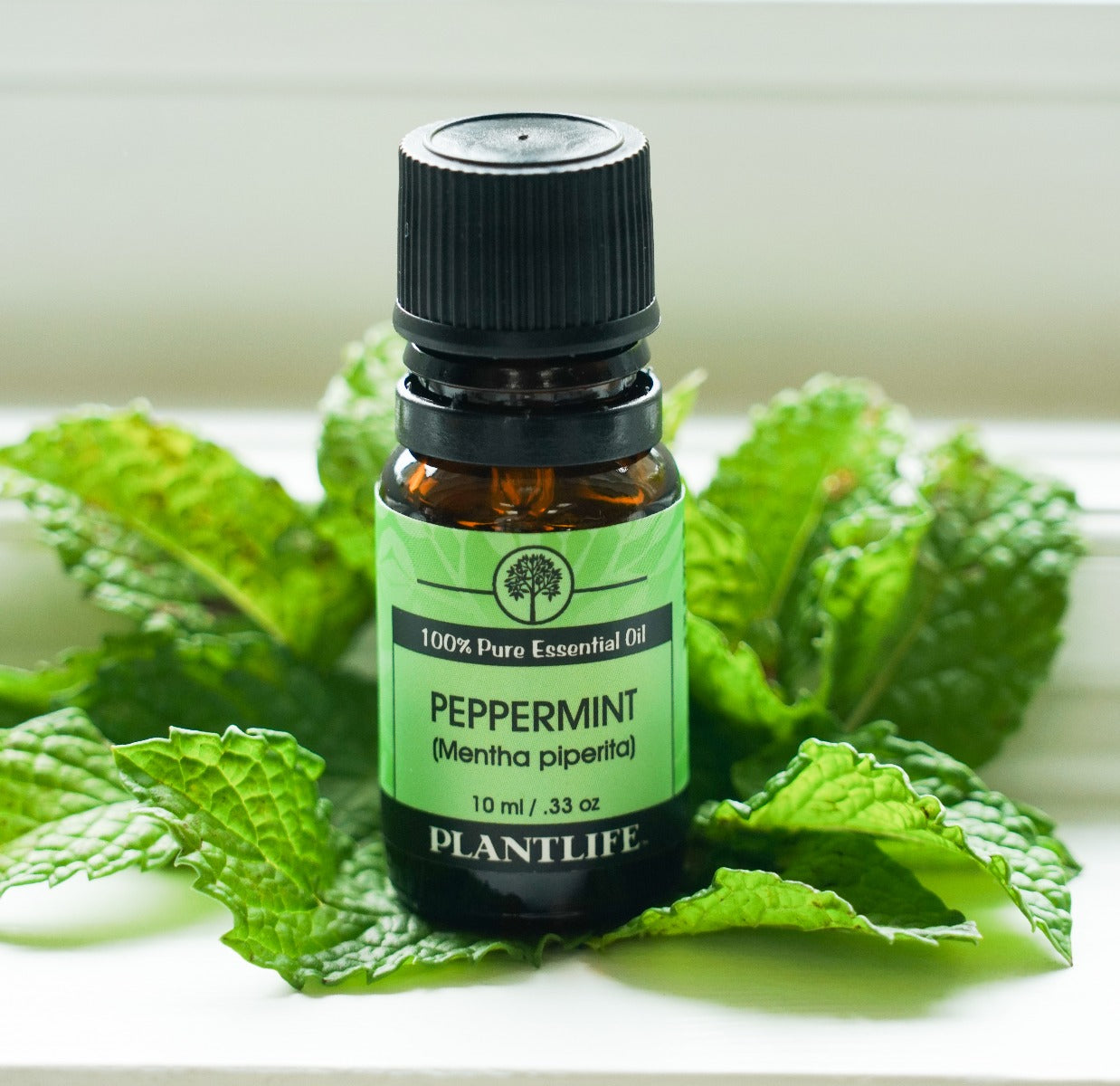 Peppermint Essential Oil