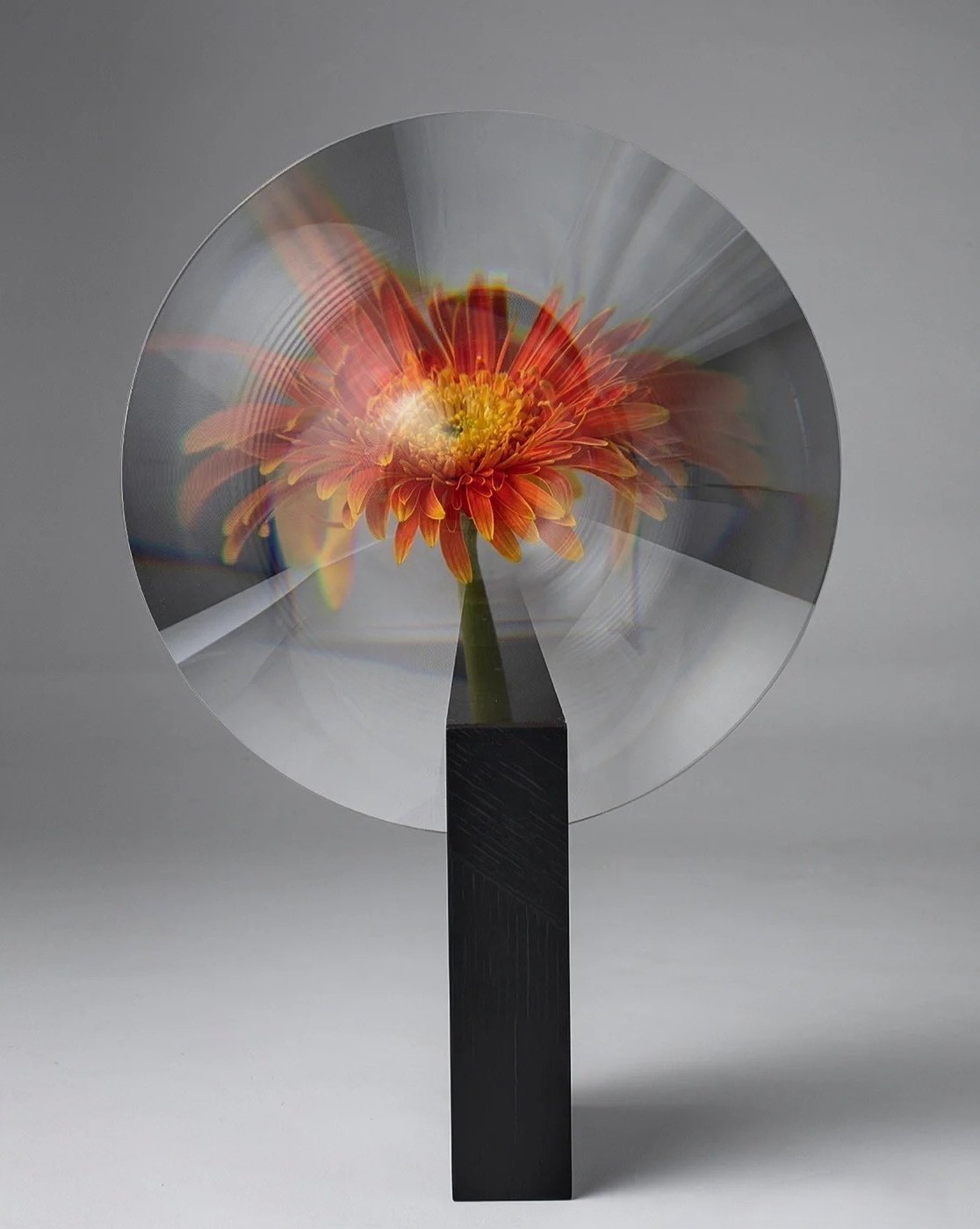 Phantom Vase - Creative Modern Decorative Vase