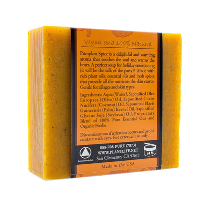 Pumpkin Spice Bar Soap