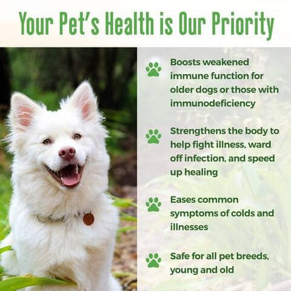 Dog Allergy & Immune Support Supplement by BestLife4Pets