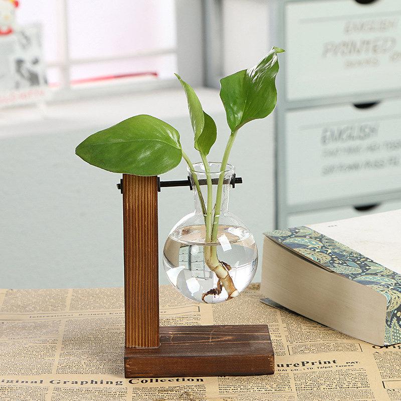 Hydroponic Vintage Vase