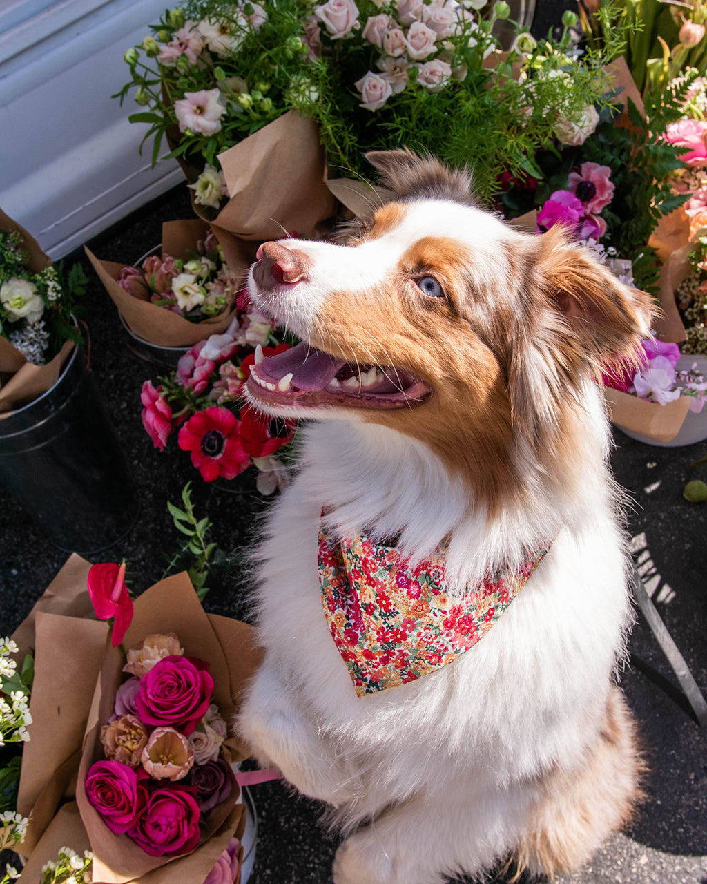 FLORAL BANDANA by MODERNBEAST