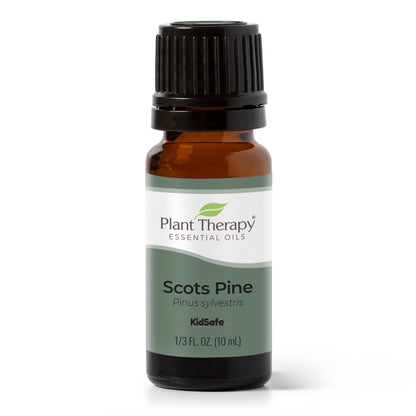 Scots Pine Essential Oil