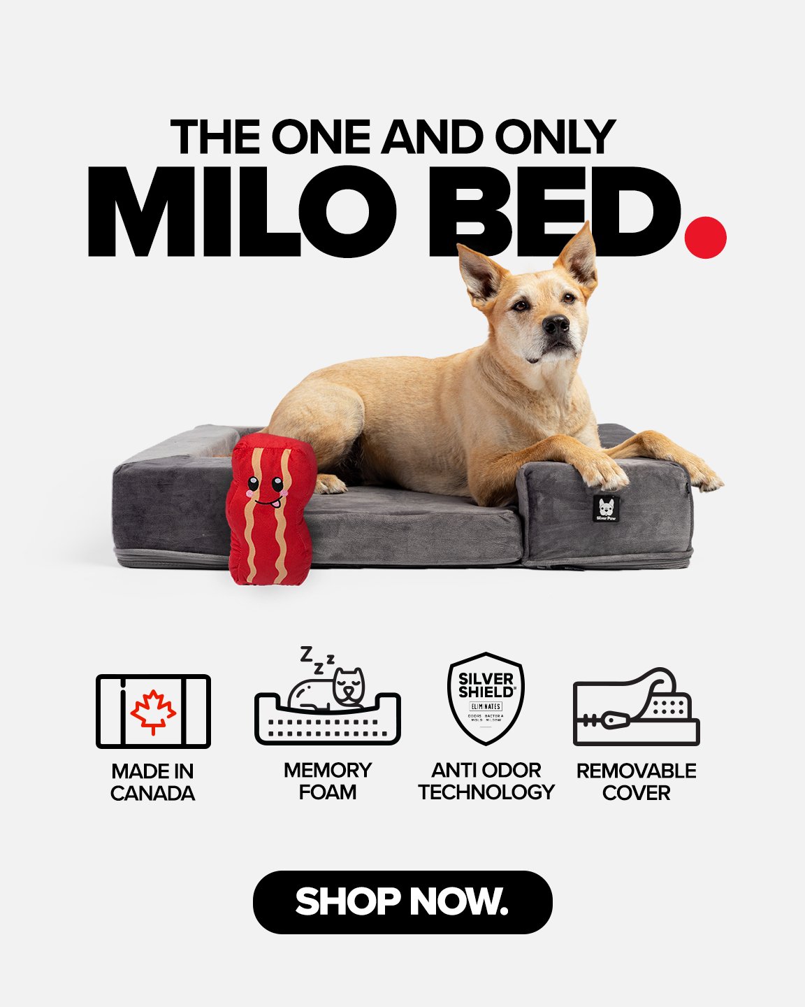 The New Milo Dog Bed