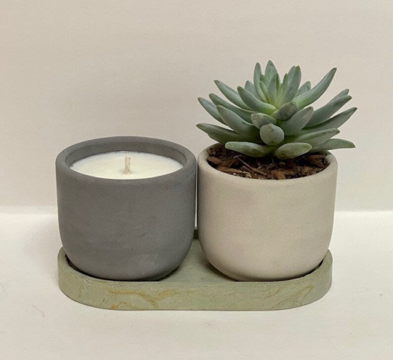 Signature Concrete Candle - Tulip (small) Handpainted Concrete Candle