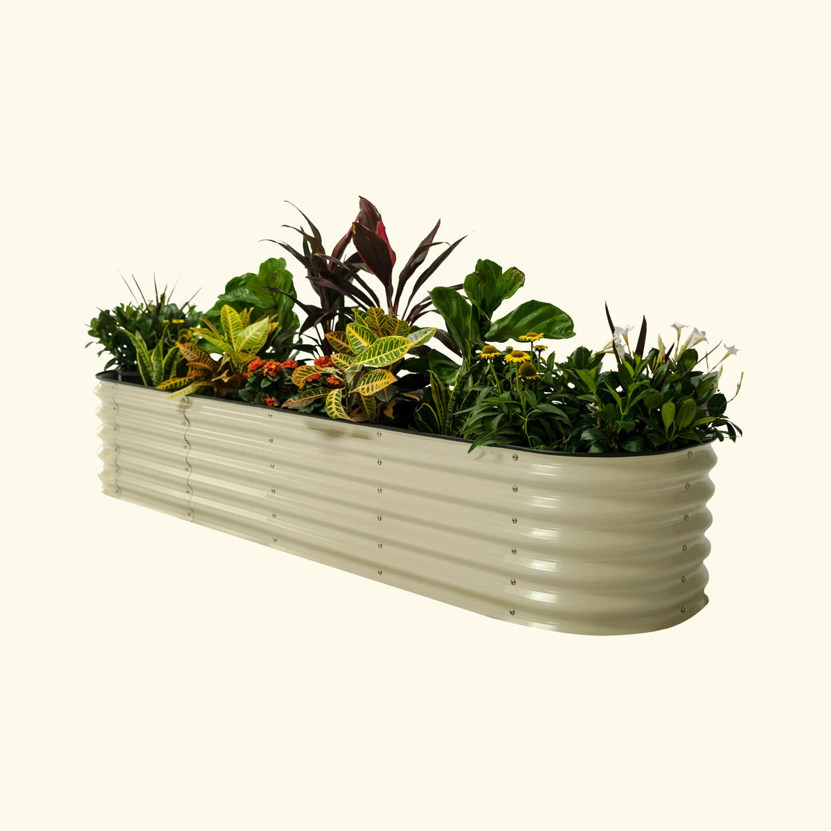 Self-Watering Garden Bed