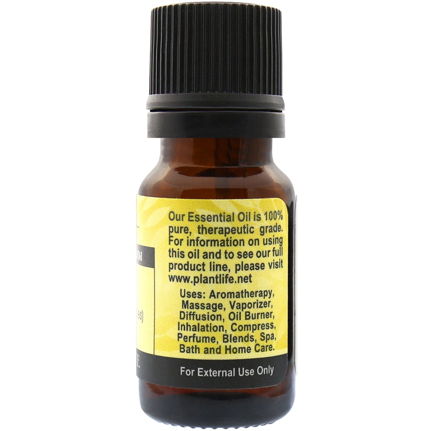 Vetiver Essential Oil