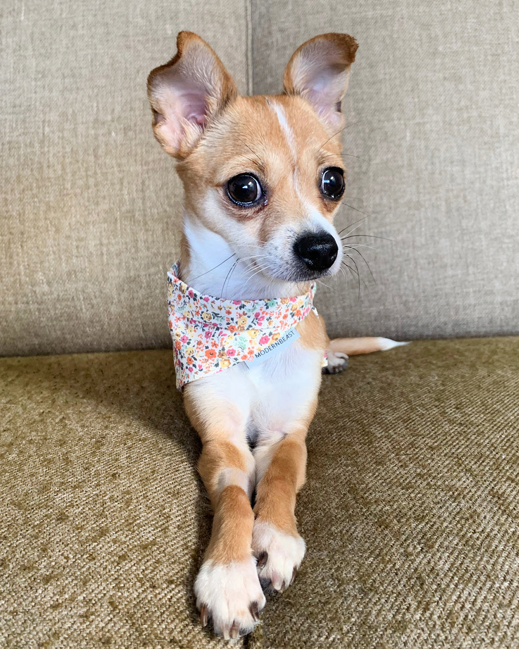 FLORAL BANDANA by MODERNBEAST